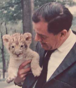 Lion Cub