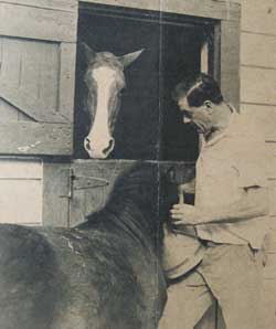 Stable