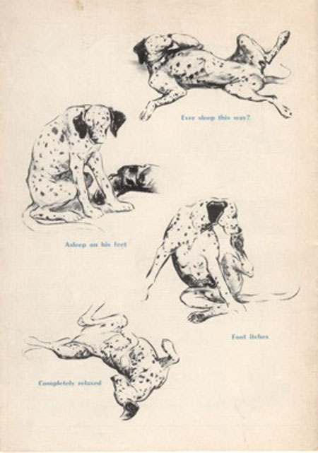 April 1953 Back