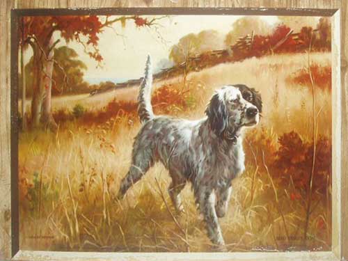 Beau
