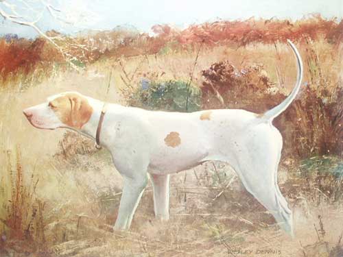 Bird Dog