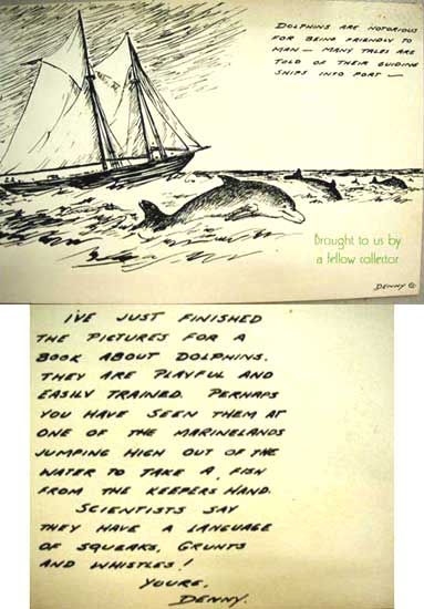 Dolphins