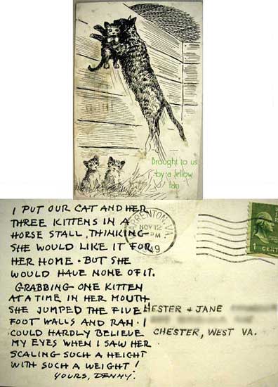 Kittens