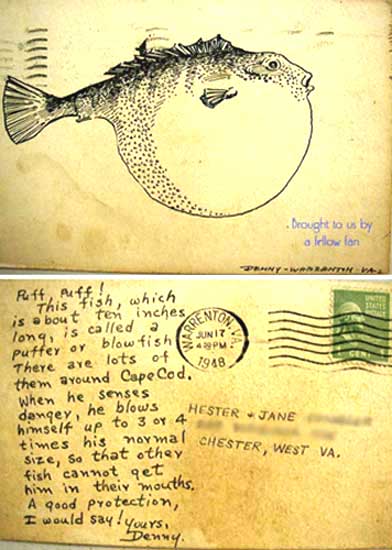 Blowfish