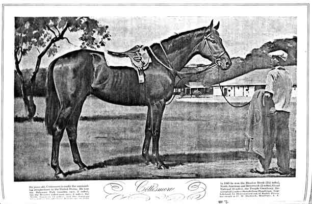 Cottesmore