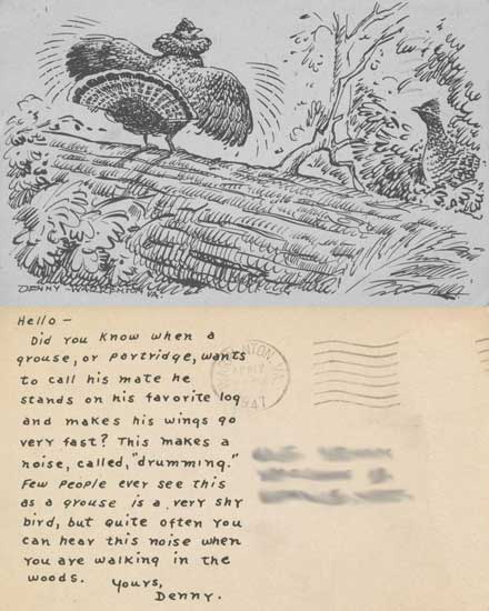 grouse