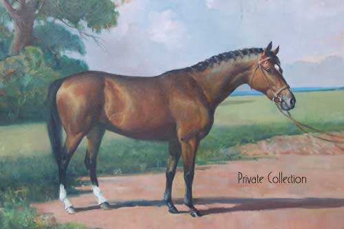Horse