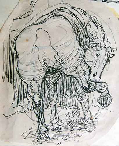 Scratching Horse
